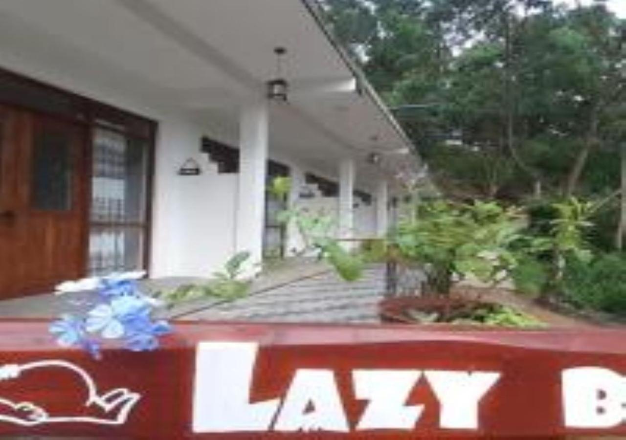 Lazy Bear Lodge 엘라 외부 사진