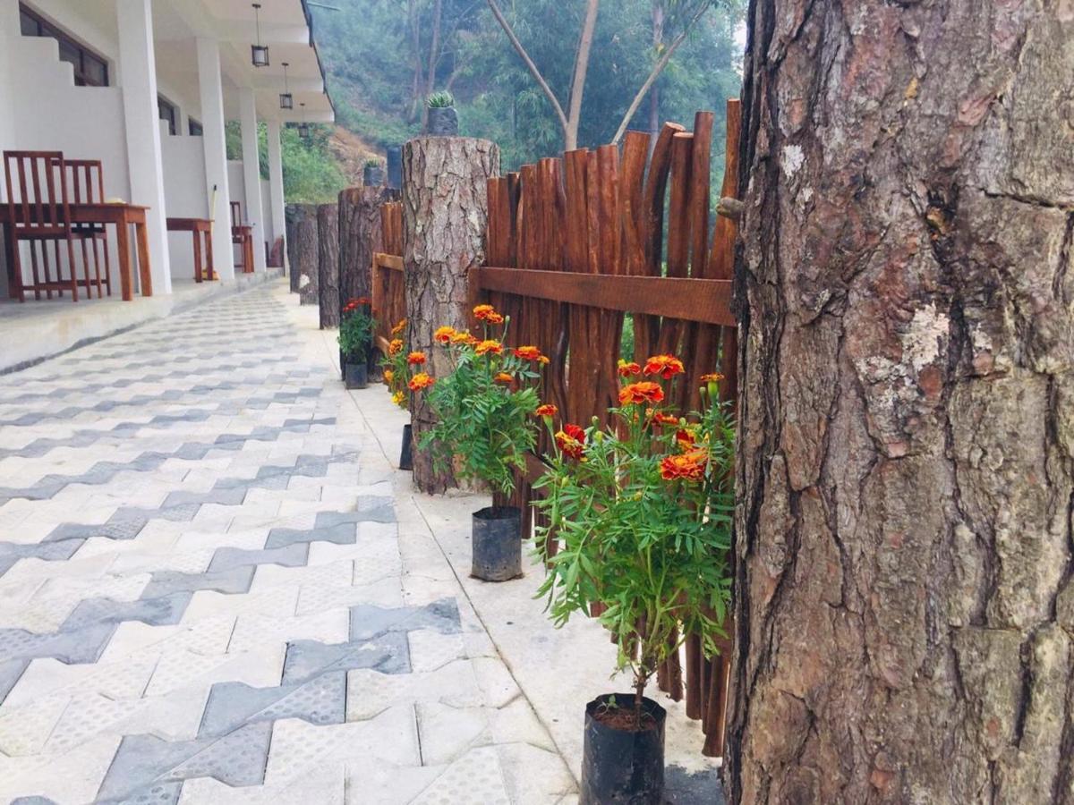 Lazy Bear Lodge 엘라 외부 사진
